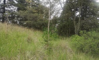 Terreno - Lerma