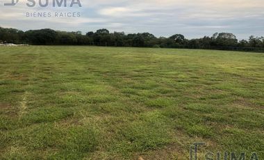 Terreno en Renta en Puerto Industrial de Altamira Tamaulipas.