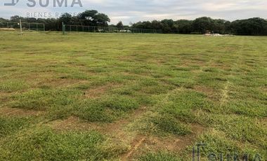 Terreno en Renta en Puerto Industrial de Altamira Tamaulipas.