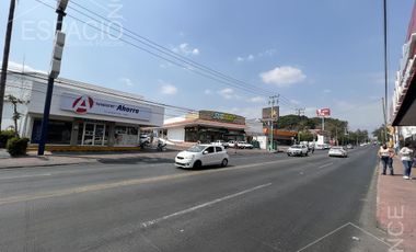 Local - Las Palmas