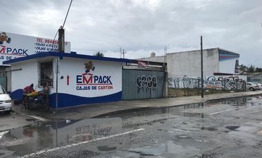 Local - Ejidal