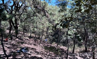Fraccionamiento El  Roble Arenal coto