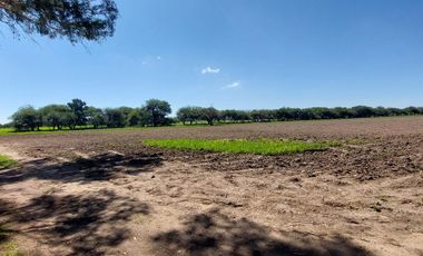 Venta 7 hectáreas planas a 10 min del Paraque Industrial Opción y 30 del Parque Ind. Querétaro