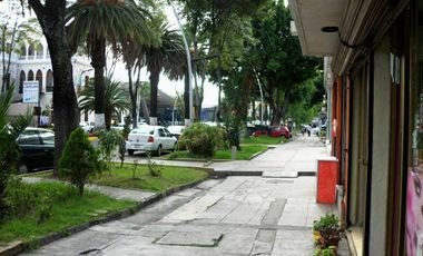 Propiedad en venta Av Juarez ST-1808A