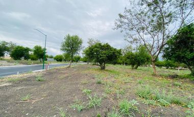 TERRENO CAMPESTRE RESIDENCIAL - LA CONDESA