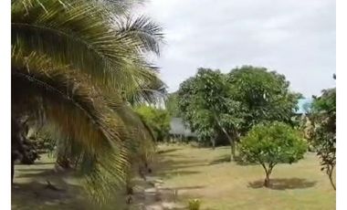 Finca en venta en Cundinamarca, La Mesa