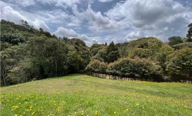 HERMOSO LOTE CON BOSQUE Y CABAÑA | ENVIGADO | EL ESCOBERO