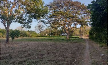VENDO FINCA  EN SAN BERNARDO DEL VIENTO CORDOBA