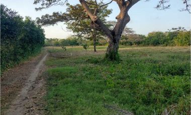 VENDO FINCA  EN SAN BERNARDO DEL VIENTO CORDOBA