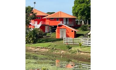 3 FINCAS CASA CON TERRENO EN  ARENOSA - CHORRERA 52 HECTAREAS CV