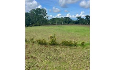 3 FINCAS CASA CON TERRENO EN  ARENOSA - CHORRERA 52 HECTAREAS CV