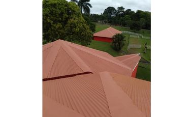 3 FINCAS CASA CON TERRENO EN  ARENOSA - CHORRERA 52 HECTAREAS CV