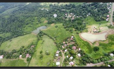 3 FINCAS CASA CON TERRENO EN  ARENOSA - CHORRERA 52 HECTAREAS CV