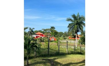 3 FINCAS CASA CON TERRENO EN  ARENOSA - CHORRERA 52 HECTAREAS CV