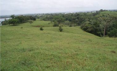 3 FINCAS CASA CON TERRENO EN  ARENOSA - CHORRERA 52 HECTAREAS CV