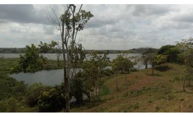 3 FINCAS CASA CON TERRENO EN  ARENOSA - CHORRERA 52 HECTAREAS CV