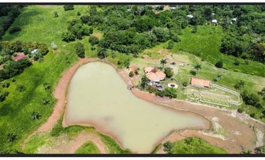 3 FINCAS CASA CON TERRENO EN  ARENOSA - CHORRERA 52 HECTAREAS CV