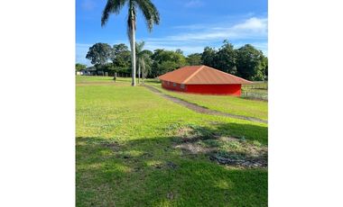 3 FINCAS CASA CON TERRENO EN  ARENOSA - CHORRERA 52 HECTAREAS CV