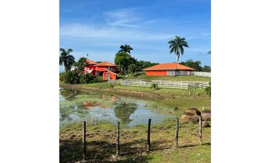 3 FINCAS CASA CON TERRENO EN  ARENOSA - CHORRERA 52 HECTAREAS CV
