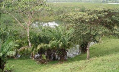 3 FINCAS CASA CON TERRENO EN  ARENOSA - CHORRERA 52 HECTAREAS CV