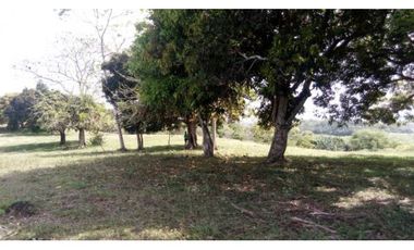 3 FINCAS CASA CON TERRENO EN  ARENOSA - CHORRERA 52 HECTAREAS CV