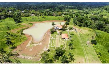 3 FINCAS CASA CON TERRENO EN  ARENOSA - CHORRERA 52 HECTAREAS CV