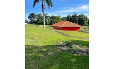 3 FINCAS CASA CON TERRENO EN  ARENOSA - CHORRERA 52 HECTAREAS CV