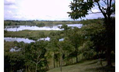 3 FINCAS CASA CON TERRENO EN  ARENOSA - CHORRERA 52 HECTAREAS CV