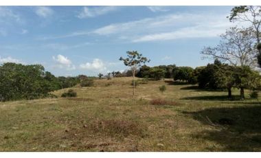 3 FINCAS CASA CON TERRENO EN  ARENOSA - CHORRERA 52 HECTAREAS CV