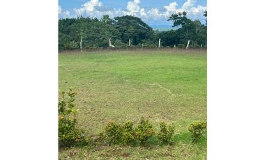 3 FINCAS CASA CON TERRENO EN  ARENOSA - CHORRERA 52 HECTAREAS CV