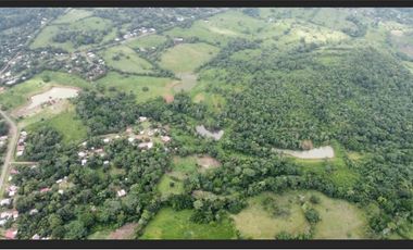 3 FINCAS CASA CON TERRENO EN  ARENOSA - CHORRERA 52 HECTAREAS CV