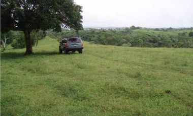 3 FINCAS CASA CON TERRENO EN  ARENOSA - CHORRERA 52 HECTAREAS CV