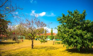 VENTA DE 2 CASAS CON PISCINA EN CORONADO 6.4 HECTAREAS CV