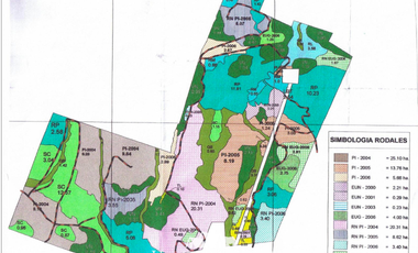 Sitio en Venta en Reyes Católicos