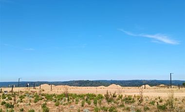 Parcela en Venta en fundo reserva de topocalma, litueche