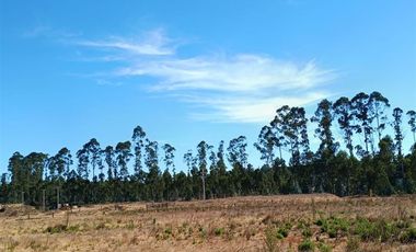 Parcela en Venta en fundo reserva de topocalma, litueche