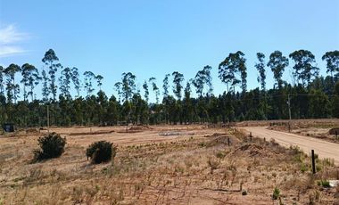Parcela en Venta en fundo reserva de topocalma, litueche