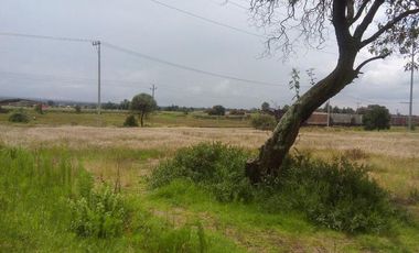 VENTA DE TERRENO INDUSTRIAL,CERCA CARRETERA