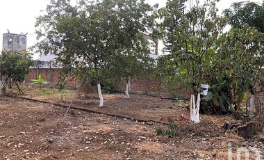 TERRENO COMERCIAL EN RENTA  BAHÍA DE BANDERAS NAYARIT JARRETADERAS