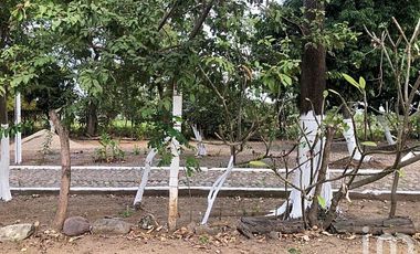 TERRENO COMERCIAL EN RENTA  BAHÍA DE BANDERAS NAYARIT JARRETADERAS