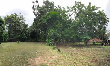 TERRENO COMERCIAL EN RENTA  BAHÍA DE BANDERAS NAYARIT JARRETADERAS