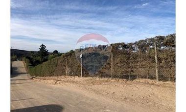 Parcela de 1,5 has en Codigua