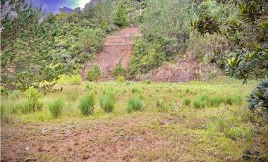 Venta Lote Parcelacion Via Pantanillo