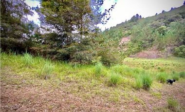 Venta Lote Parcelacion Via Pantanillo