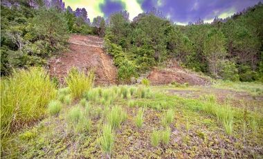 Venta Lote Parcelacion Via Pantanillo