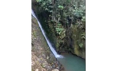 VENTA DE FINCA LA VIRGINIA - BALBOA RISARALDA