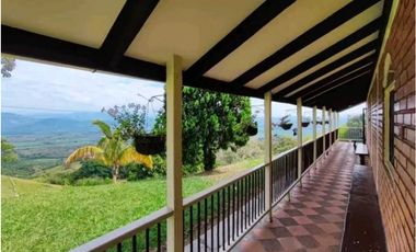 VENTA DE FINCA LA VIRGINIA - BALBOA RISARALDA