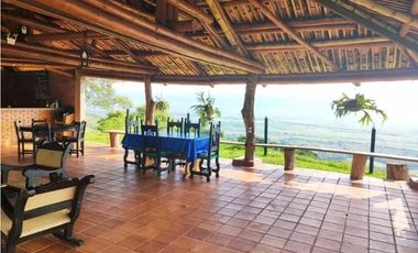 VENTA DE FINCA LA VIRGINIA - BALBOA RISARALDA