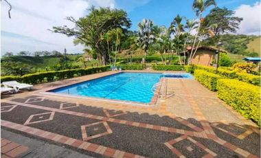 VENTA DE FINCA LA VIRGINIA - BALBOA RISARALDA