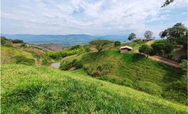 VENTA DE FINCA LA VIRGINIA - BALBOA RISARALDA